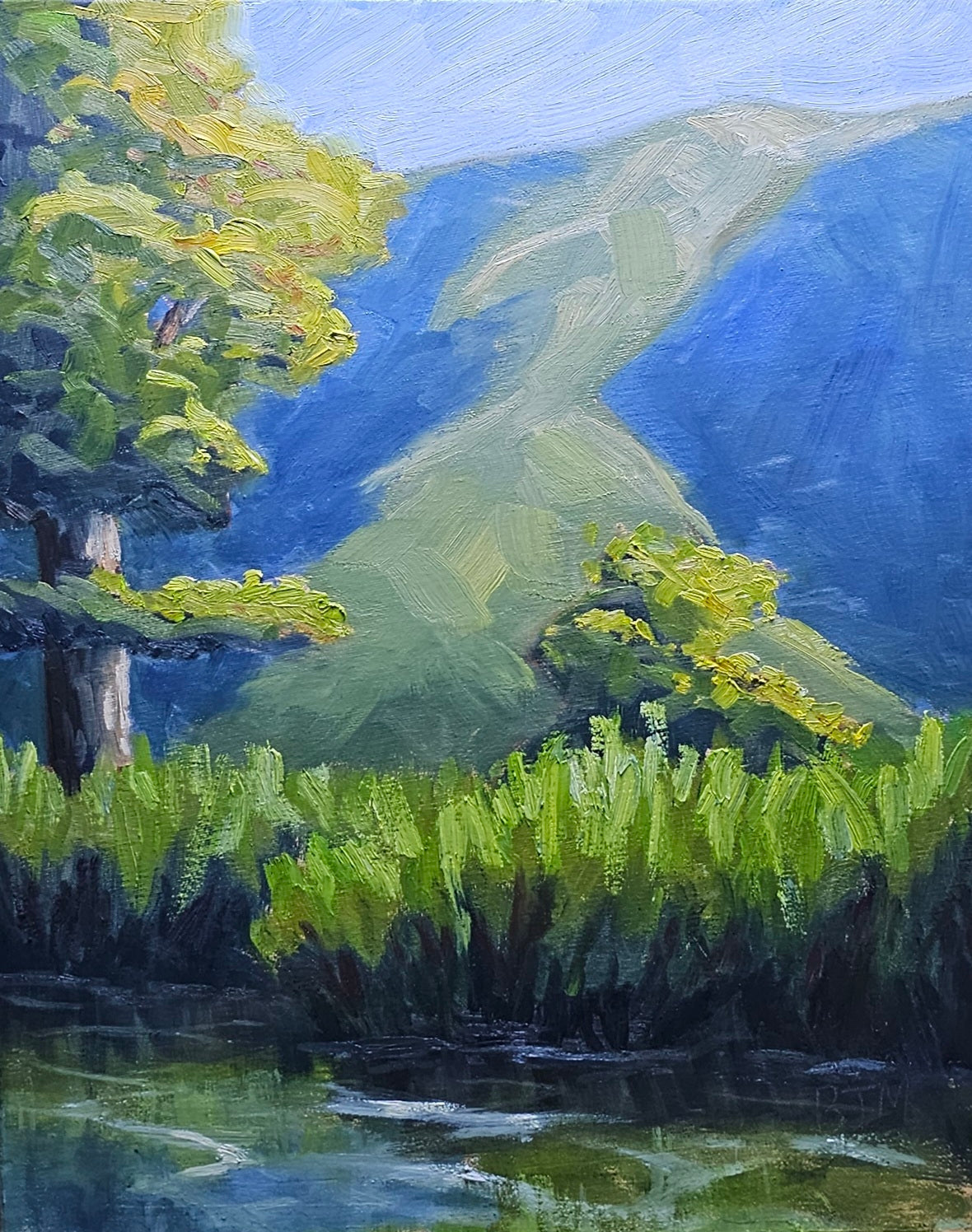 Looking up - original