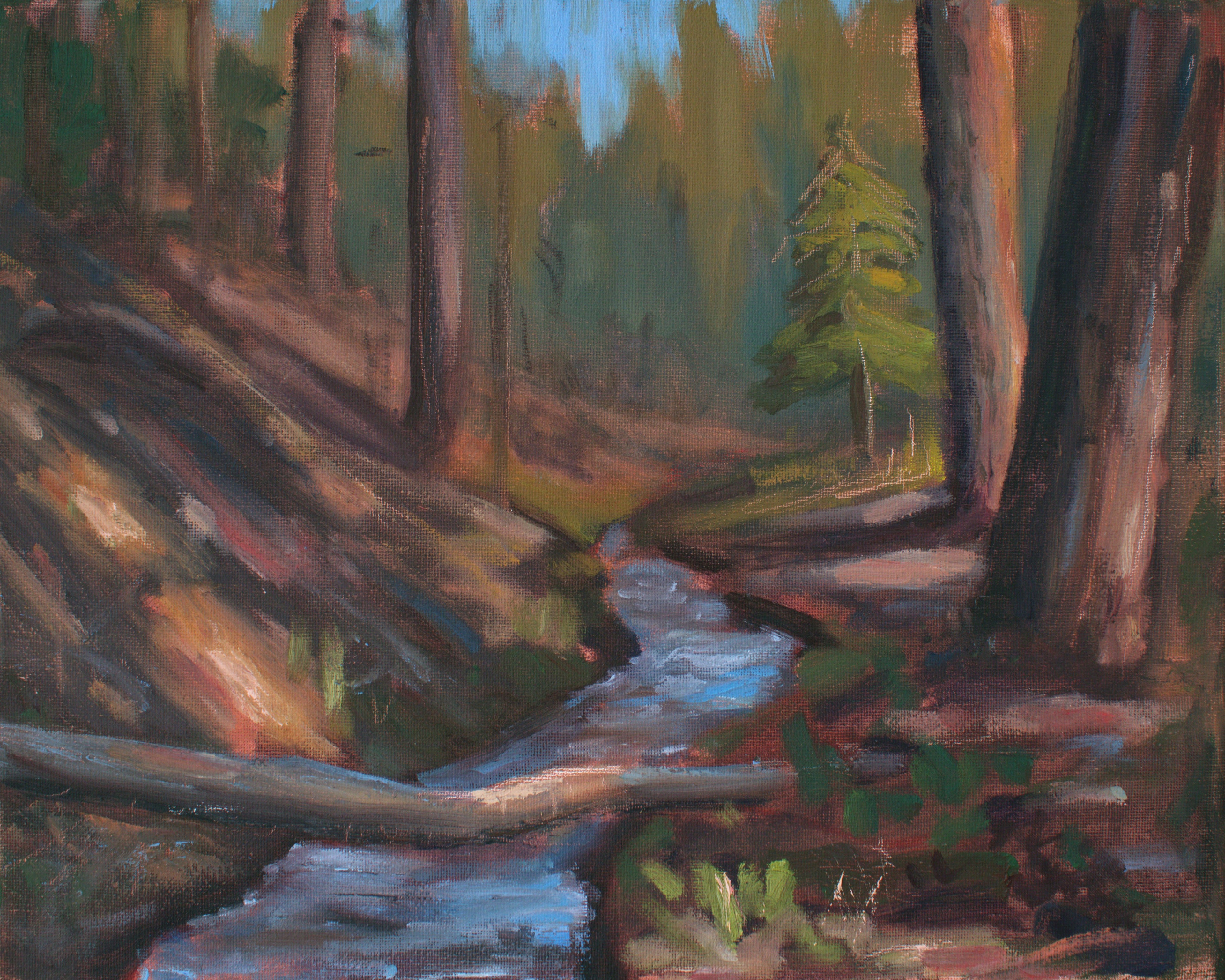Snowmelt Creek - original
