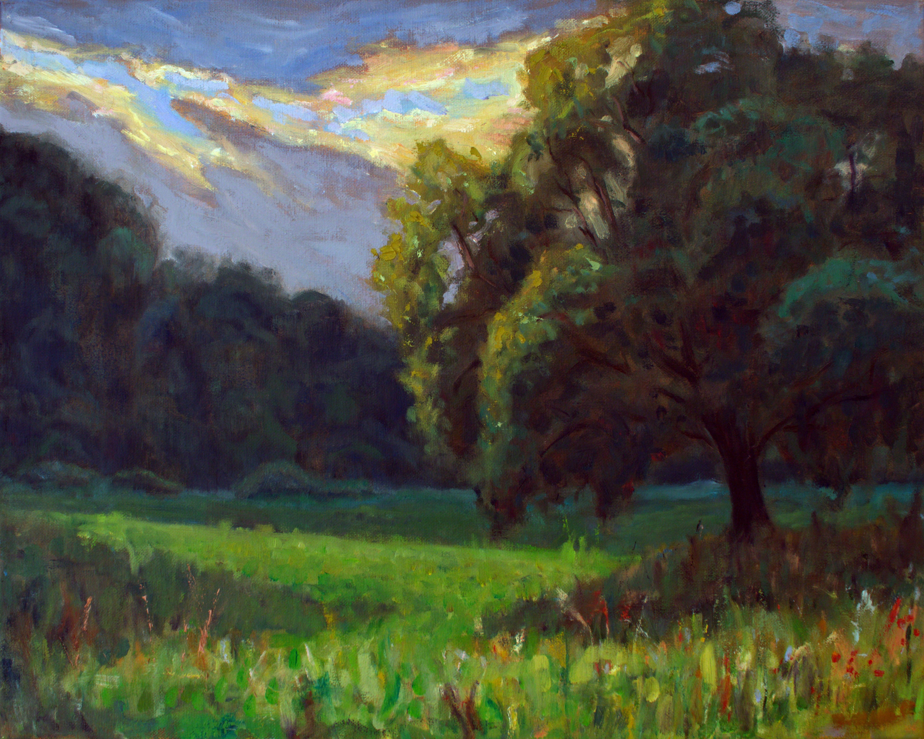 Oak Field - original