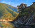 Oak at the Confluence - print