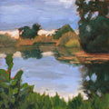 Floodplain Reflection - original