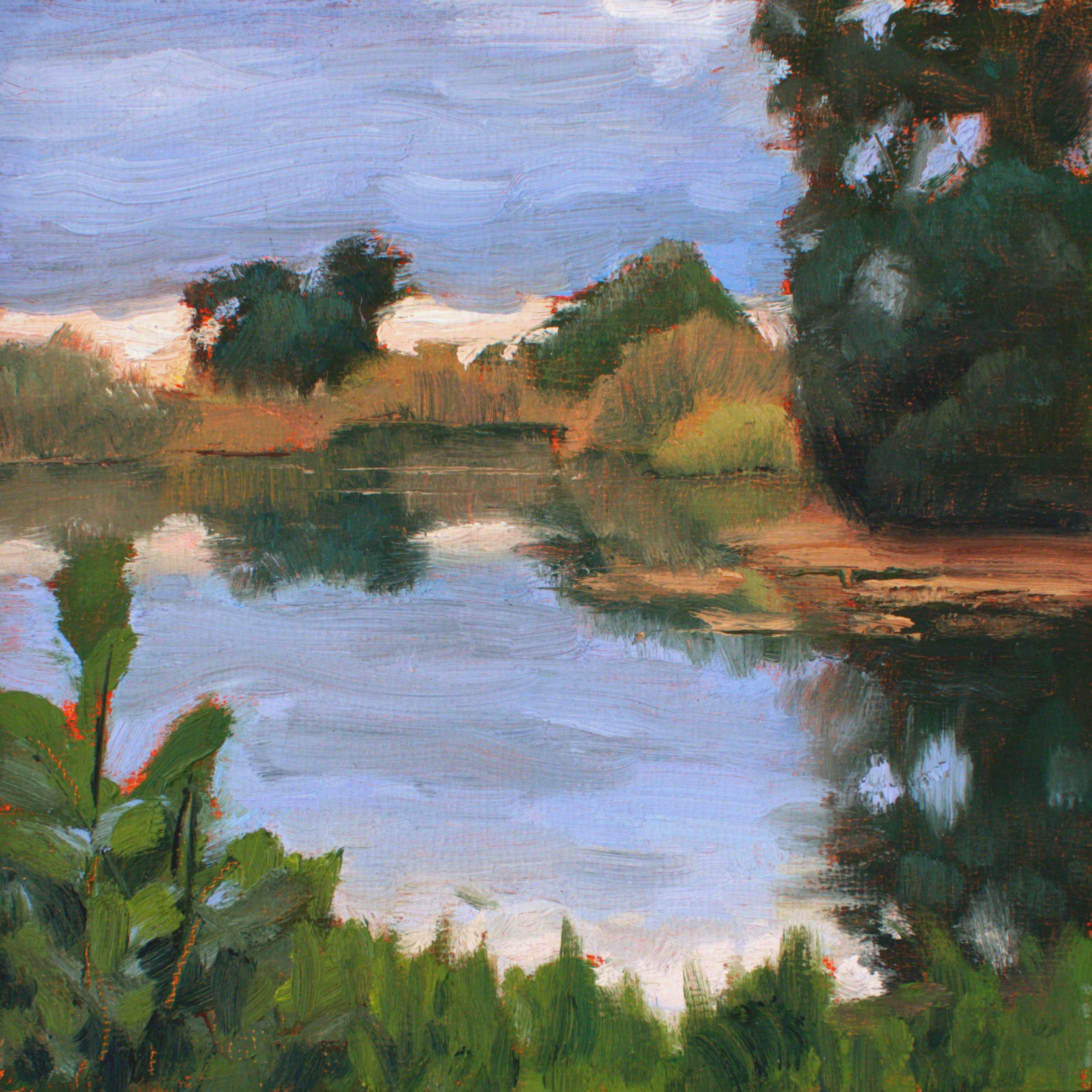 Floodplain Reflection - original