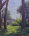 Ridgetop Clearing Study - original