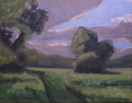 Field Study - original